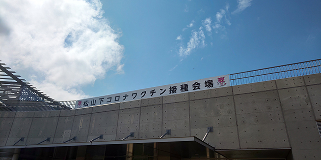 V̉摜